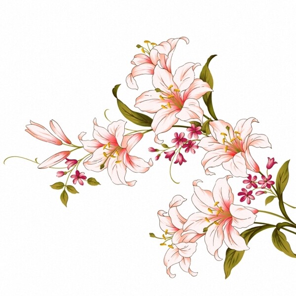 位圖時尚休閑女裝成熟優(yōu)雅女裝植物花卉免費素材