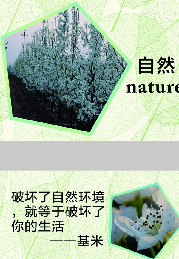 自然科學展板