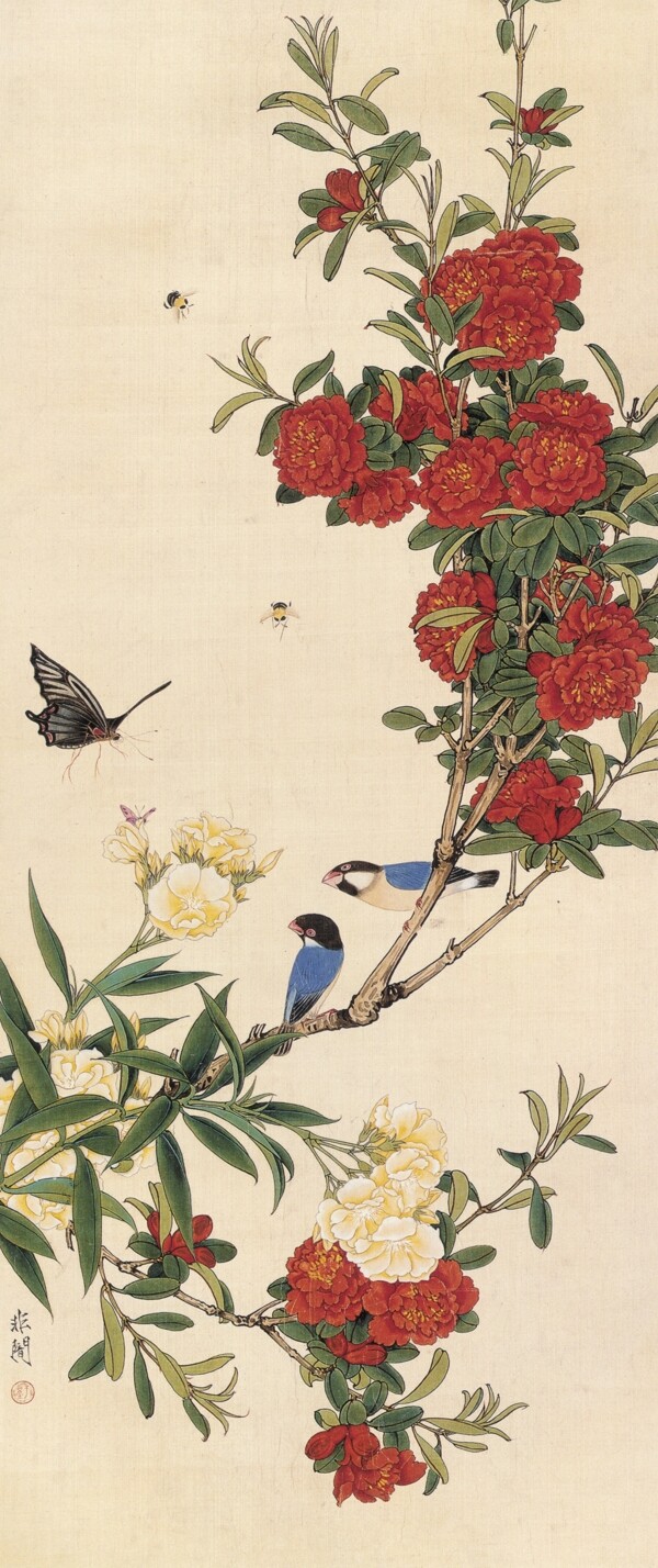 夾竹桃圖片