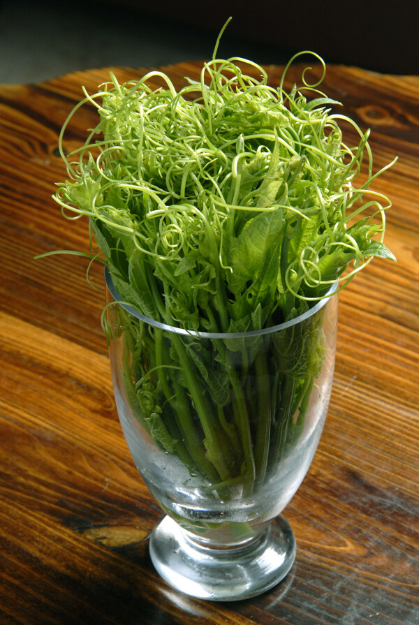 龍須菜圖片