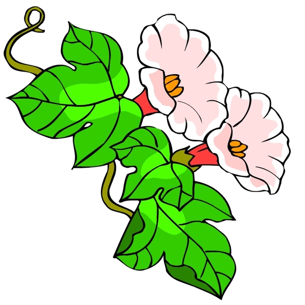花卉古典插畫