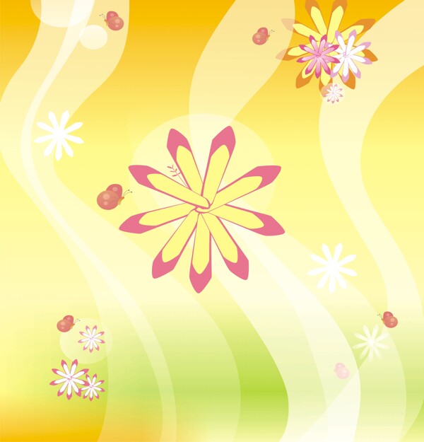 小黃花