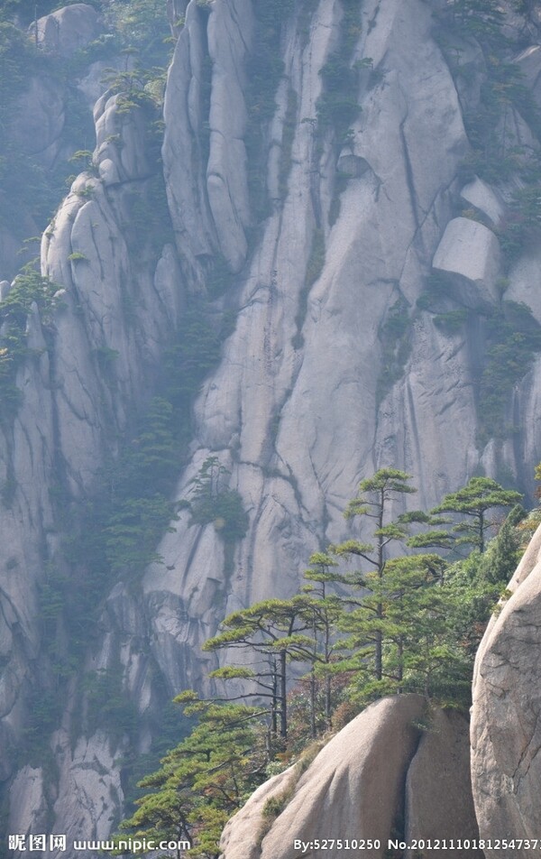 黃山圖片