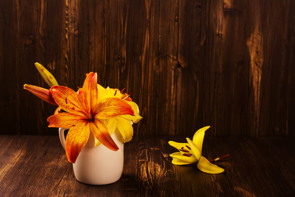木房里的玉兰花图片