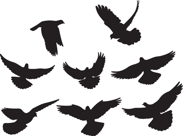 6黑色和白色的鸽子或剪影矢量素材