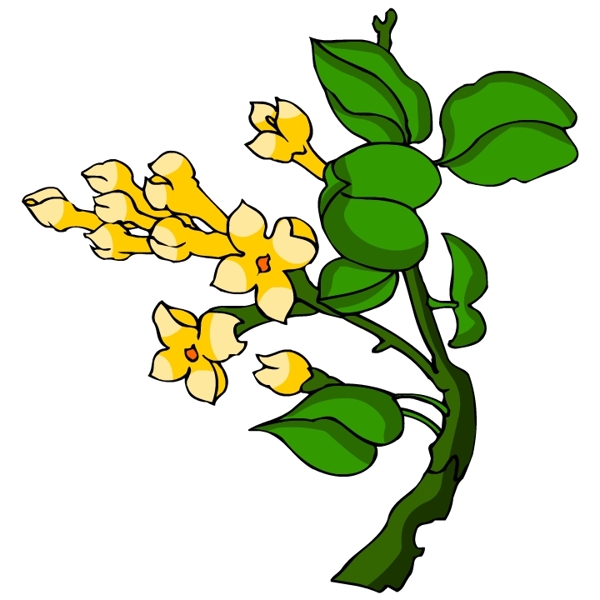 花卉古典插畫