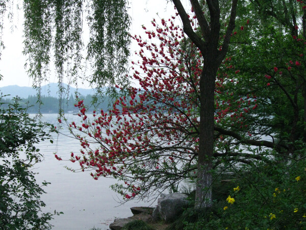 西湖風(fēng)光
