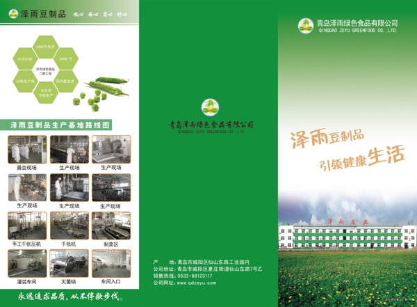 綠色品畫冊(cè)圖片