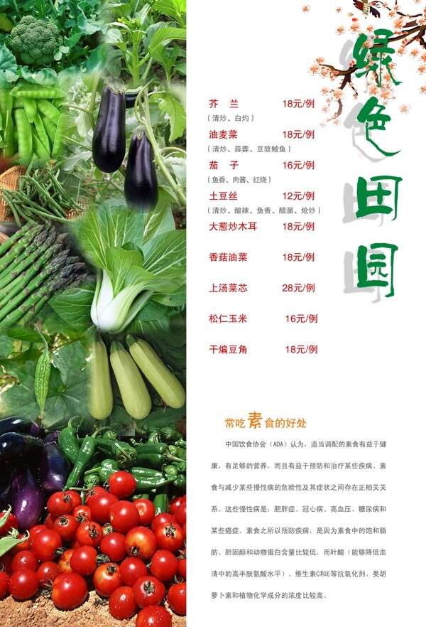 菜譜設(shè)計圖片