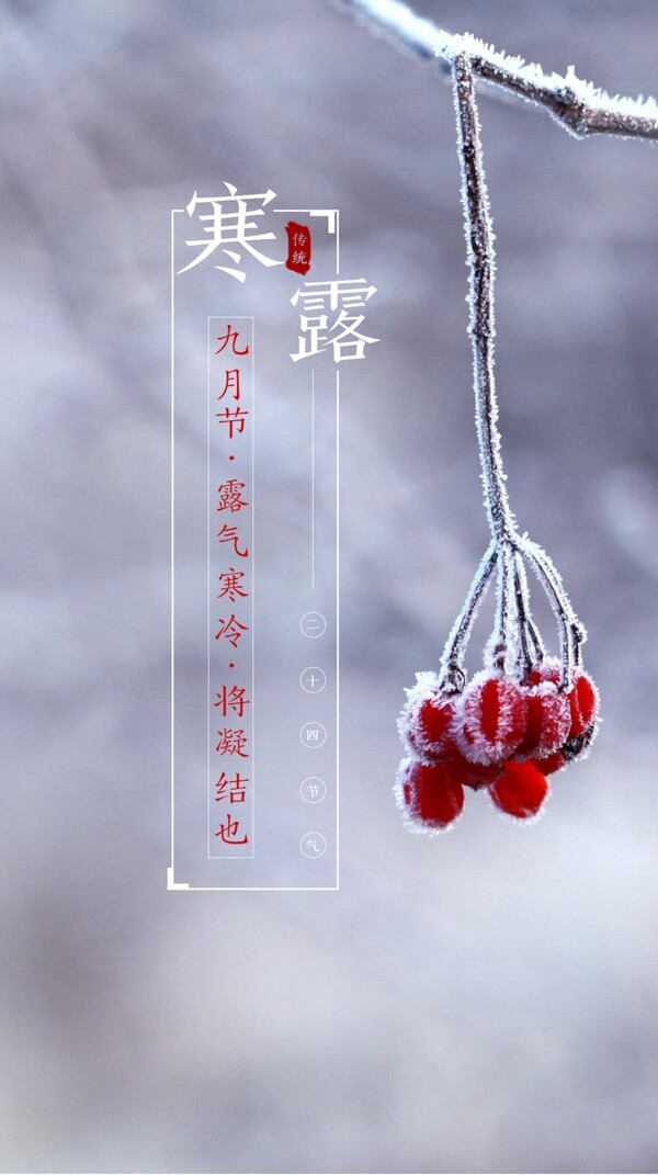 寒露海報(bào)設(shè)計(jì)模板