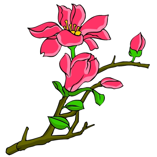 花卉古典插畫