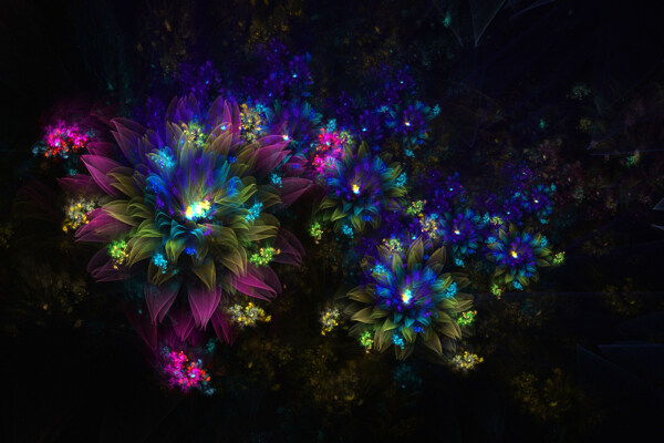 創(chuàng)意花朵圖片