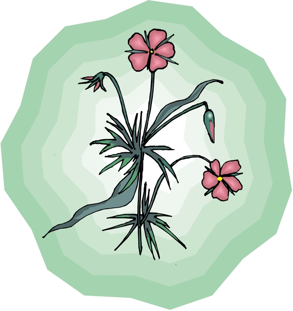 花朵花草鮮花矢量EPS格式0384