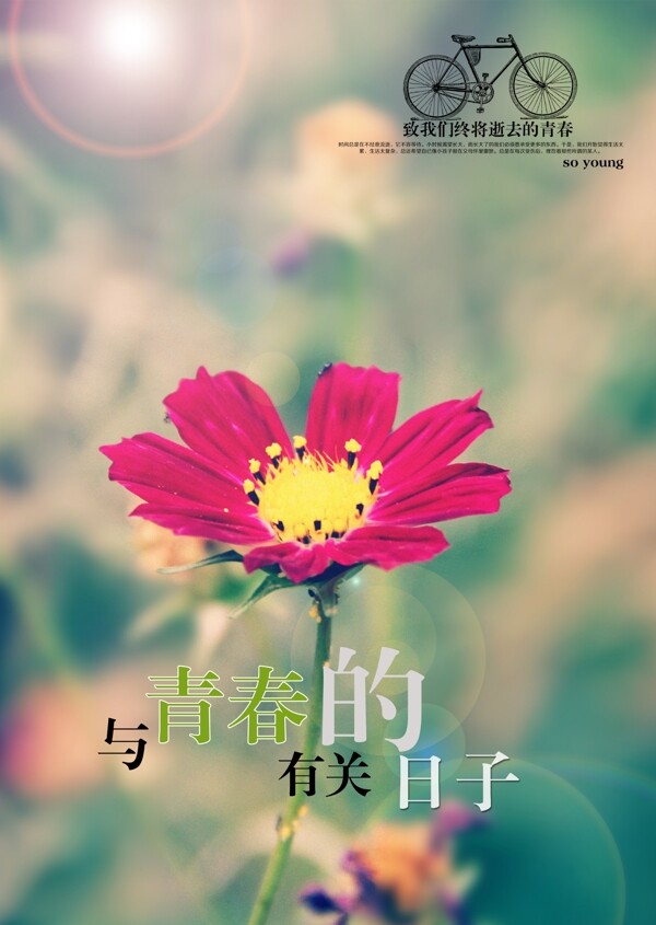 與青春有關的日子