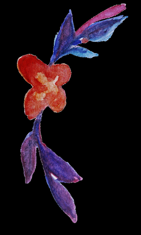 紅花枝葉透明裝飾素材