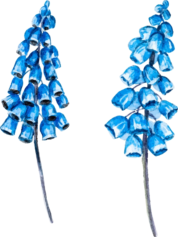 蓝色水彩绘花朵插画