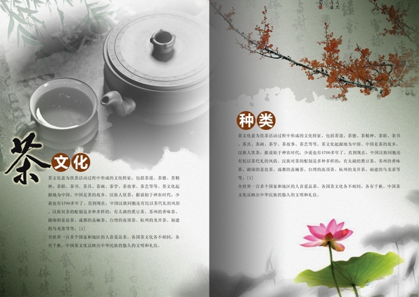 茶文化介紹