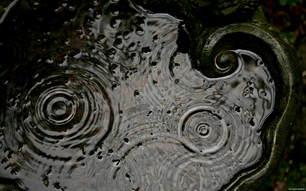 雨滴