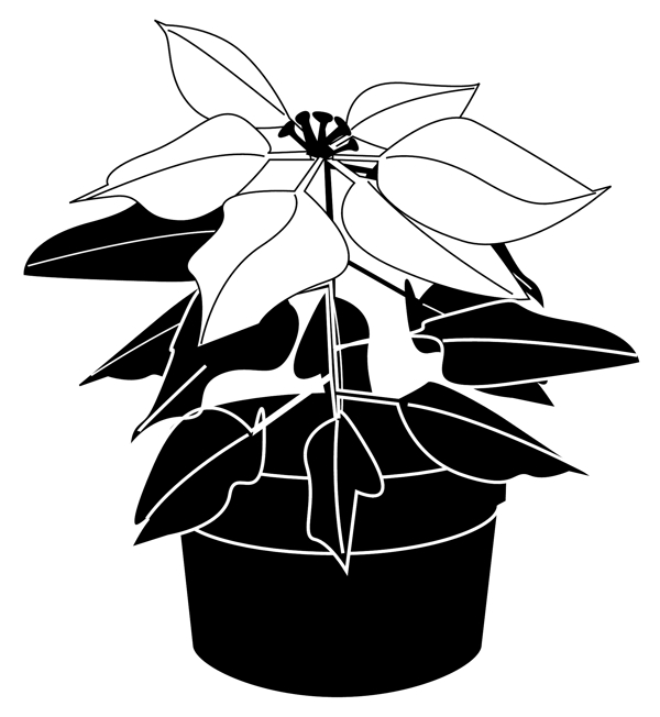 鮮花盆景矢量圖