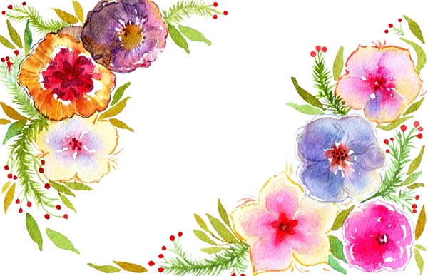 牡丹花植物背景底纹插画
