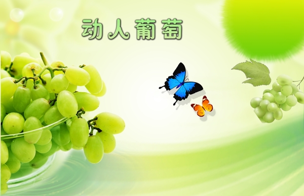動人葡萄
