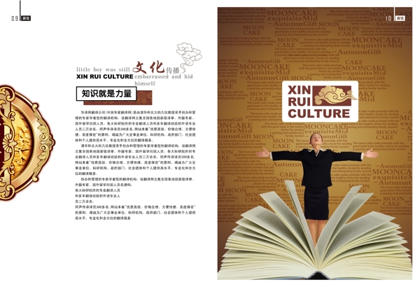 房產(chǎn)畫冊