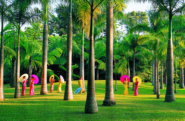 植物園