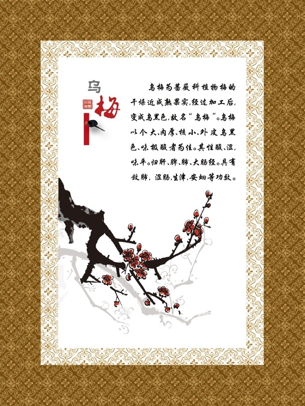 梅花圖片