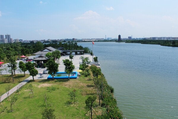 东莞华阳湖湿地公园图片