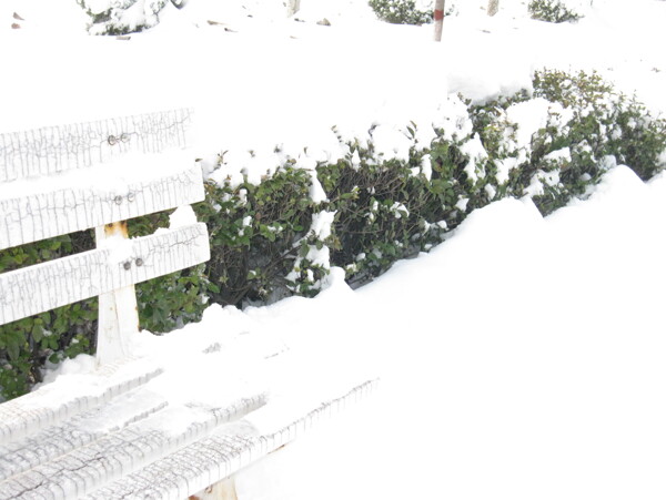 校园雪景靠椅一角