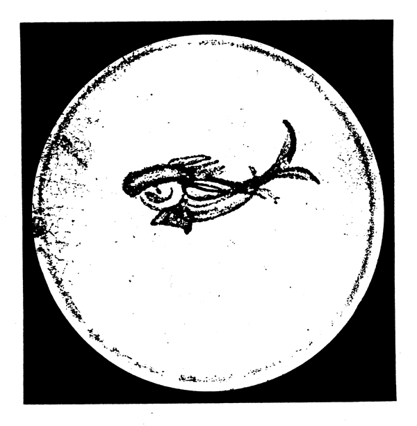 動物圖案元明時代圖案中國傳統(tǒng)圖案75