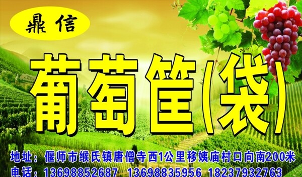葡萄框