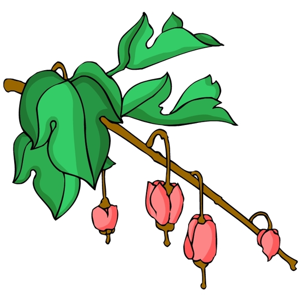 花卉古典插畫(huà)