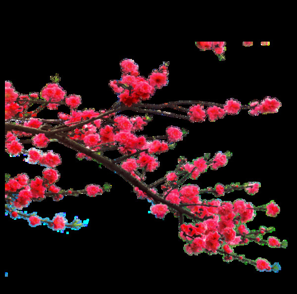 紅色花枝裝飾元素