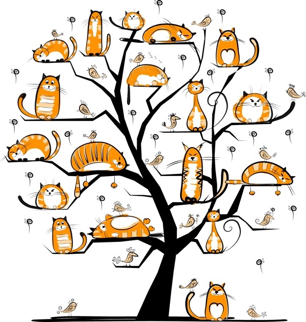 树上的猫