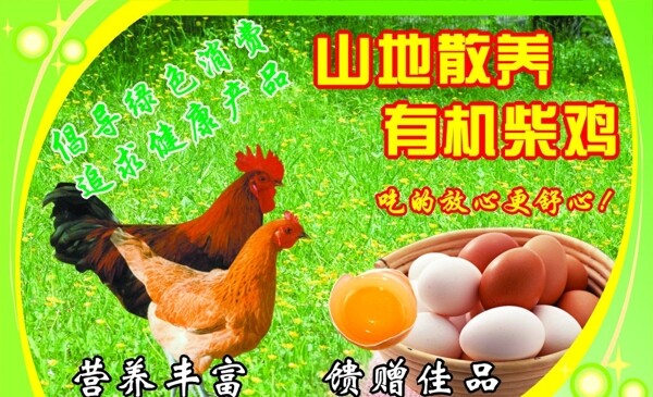 柴雞蛋圖片
