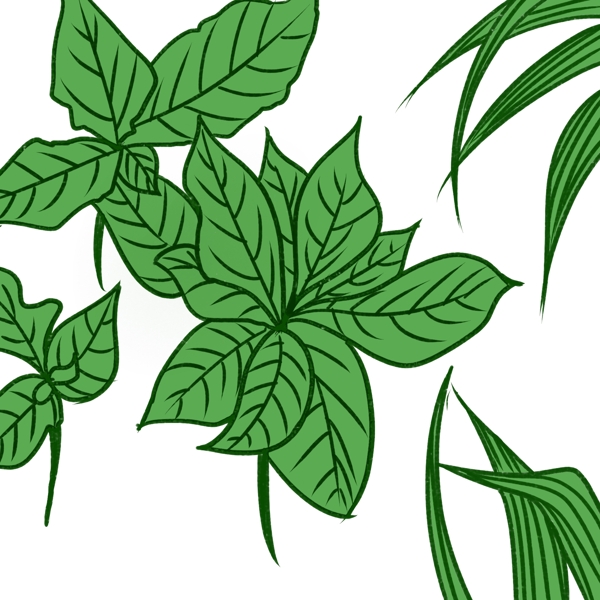 绿色植物叶子系列4