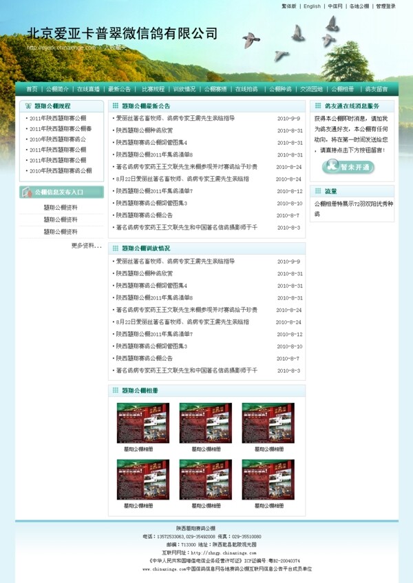 網頁模板圖片