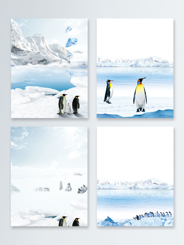 冬季北极冰天雪地企鹅广告背景