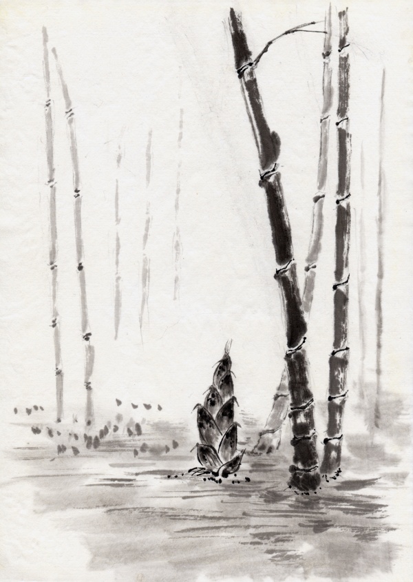 水墨畫(huà)春筍