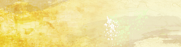 淘寶背景banner