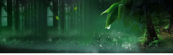 護(hù)膚綠色樹林夢(mèng)幻背景banner