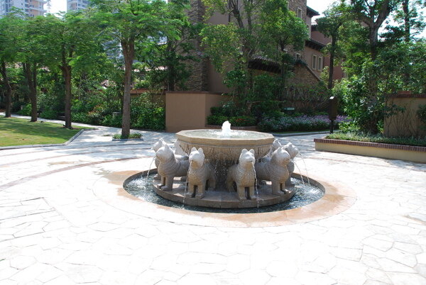 DSC0012