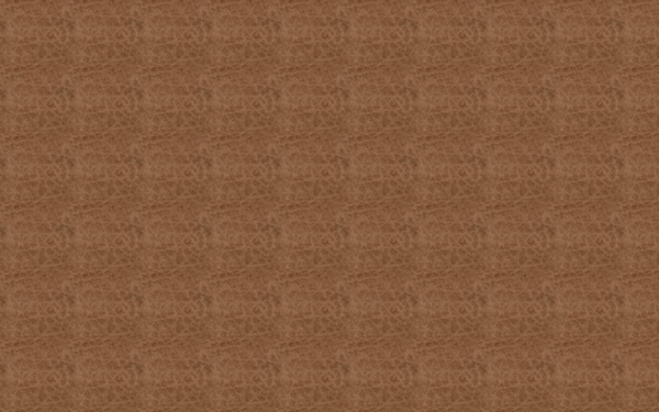 皮革毛皮9