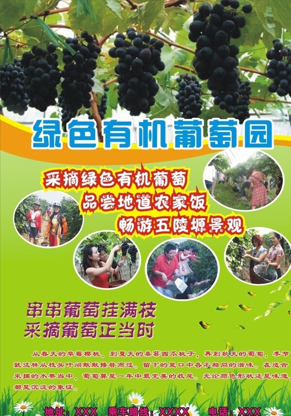 葡萄采摘園彩頁圖片
