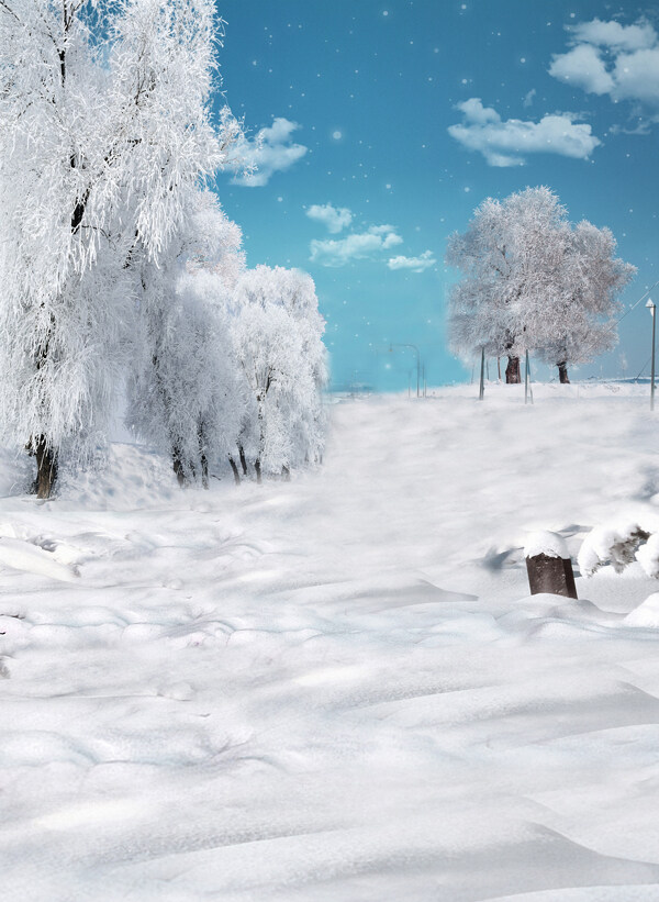 唯美雪景圖片