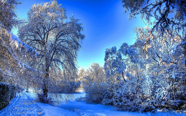 雪
