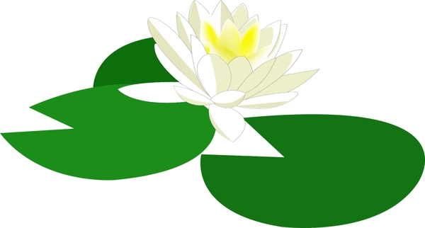 荷花圖片