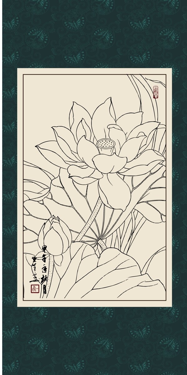 白描荷花圖片