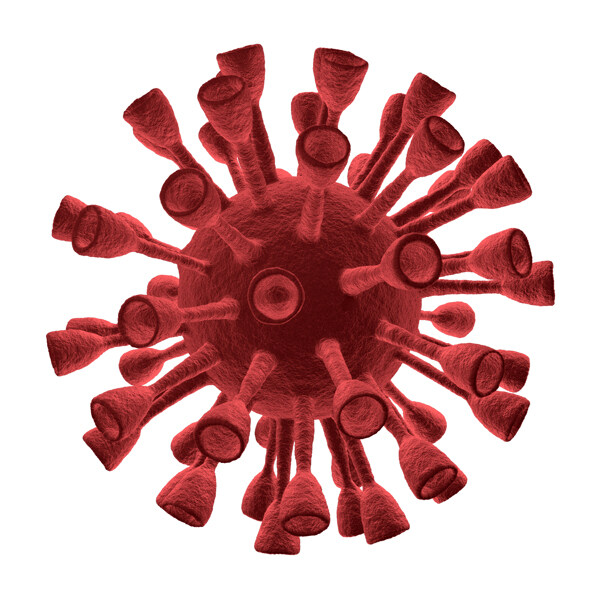 红色带刺病毒图片